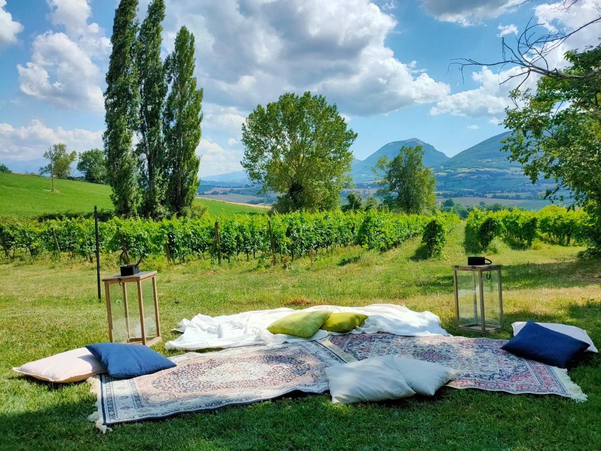 ماتيليكا Villa Collepere Country House المظهر الخارجي الصورة